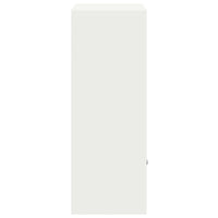Cassetta per pacchi Bianco 41 x 38 x 103 cm Acciaio 874934