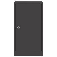 cassetta postalepastkastei Nero 30 x 23 x 55 cm Acciaio 874947