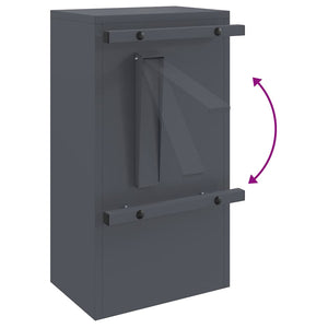 cassetta postalepastkastei Antracite 30 x 23 x 55 cm Acciaio 874949