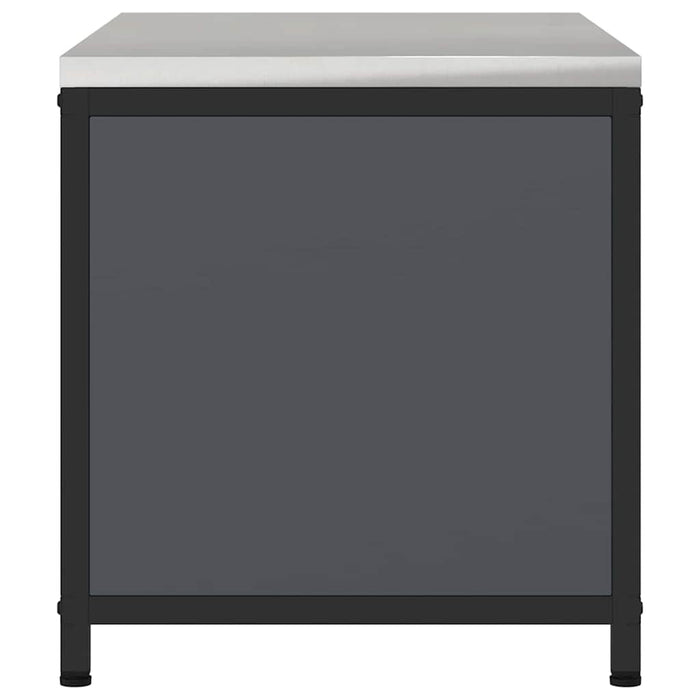 Armadietto per Stoccaggio in Cucina con porta Antracite Acciaio 874998