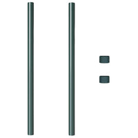 vidaXL Pali per Recinzione 2 pcs Verde 100 cm