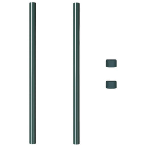 vidaXL Pali per Recinzione 2 pcs Verde 100 cm