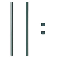 vidaXL Pali per Recinzione 2 pcs Verde 110 cm