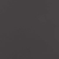 Schermo per privacy in giardino Traforo Nero 50 x 140 cm 876280