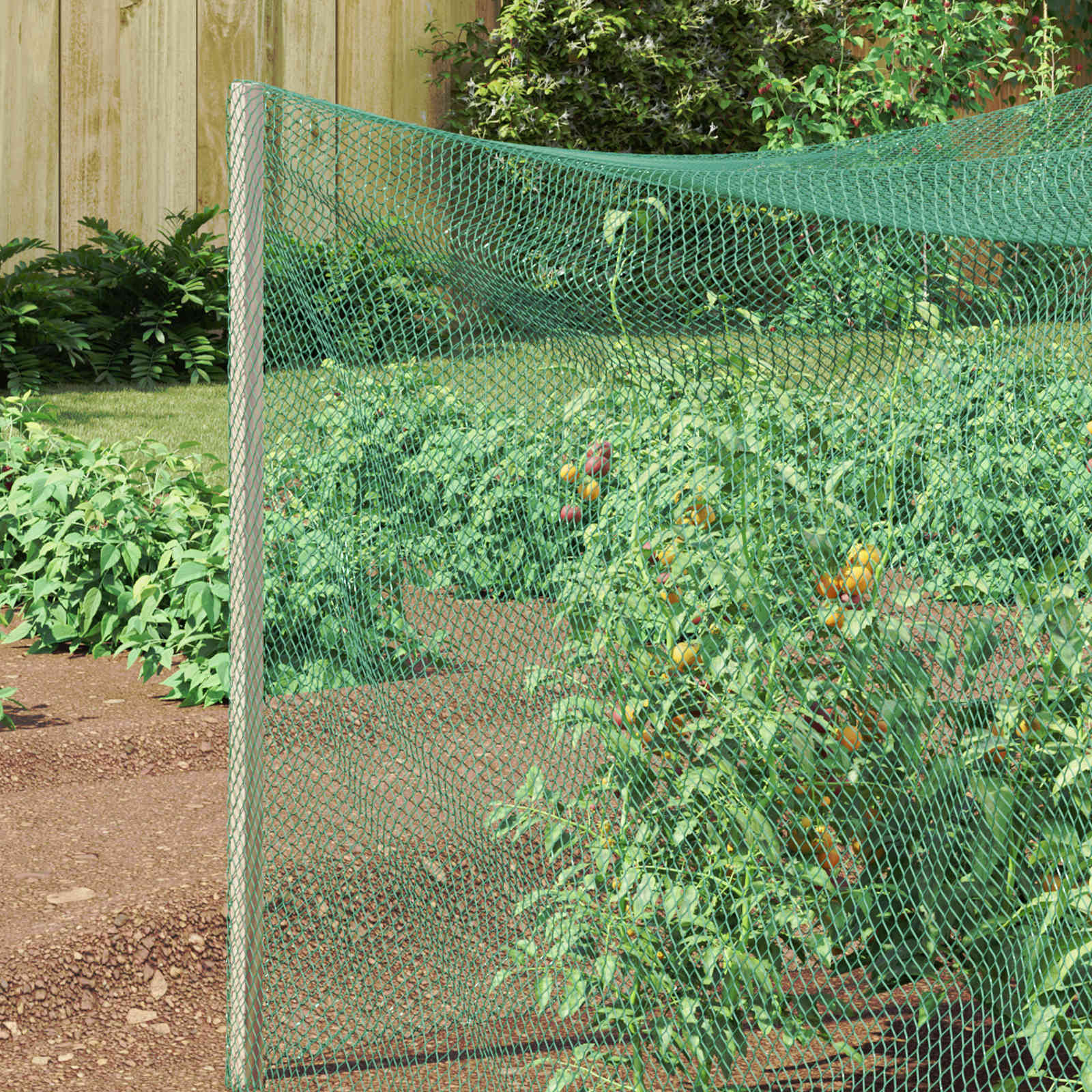 Reticolo di Protezione per Uccelli Verde 2 x 10 m HDPE 42011528