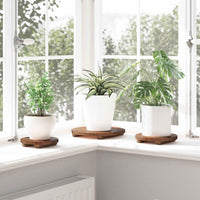 Sgabello per Piante 3 pcs Marrone Legno di Mogano 42012375