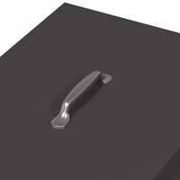 Feeder per pollo Nero 40,5 x 45 x 41 cm 874666