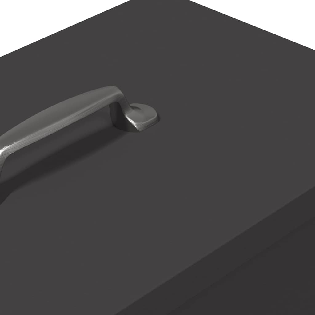 Feeder per pollo Nero 20 x 25 x 35 cm Acciaio laminato a freddo 874693