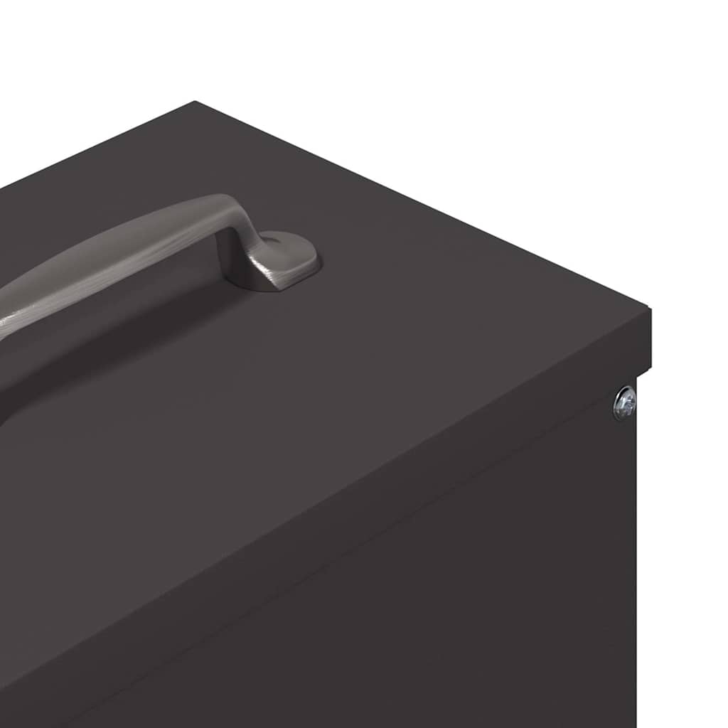 Feeder per pollo Nero 20 x 25 x 35 cm Acciaio laminato a freddo 874696