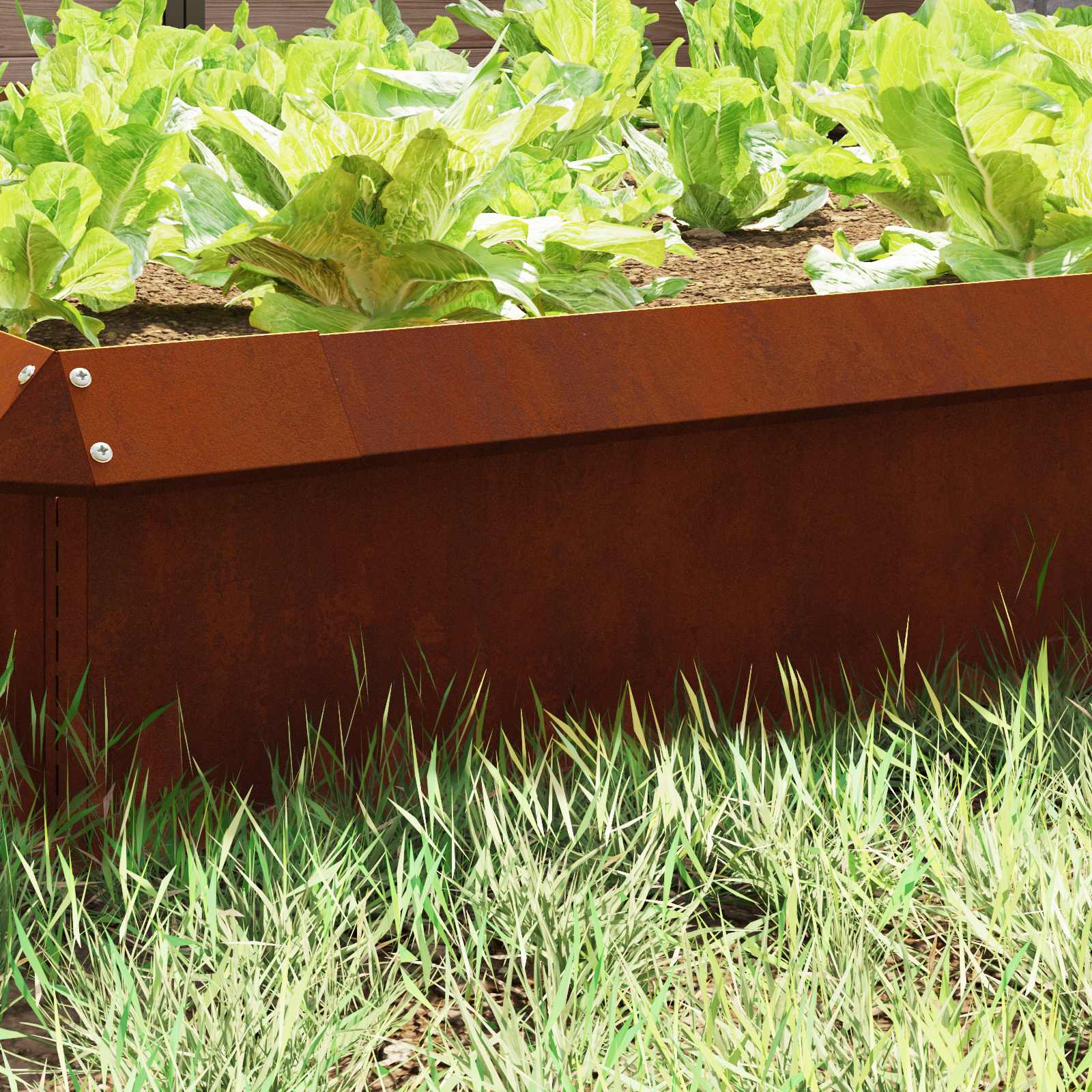 Recinto per lumache Ruggine 100 x 3,5 x 25 cm 874864