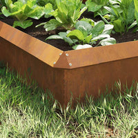 Recinzioni per lumache 8 pcs Ruggine 874881