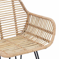 Sedia da pranzo 2 pcs Naturale 55 x 50 x 74 cm Rattan e Ferro 42011556
