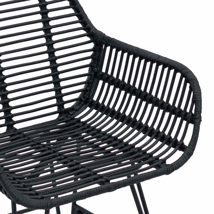 Sedia da pranzo 2 pcs Nero 55 x 50 x 74 cm Rattan e Ferro 42011557