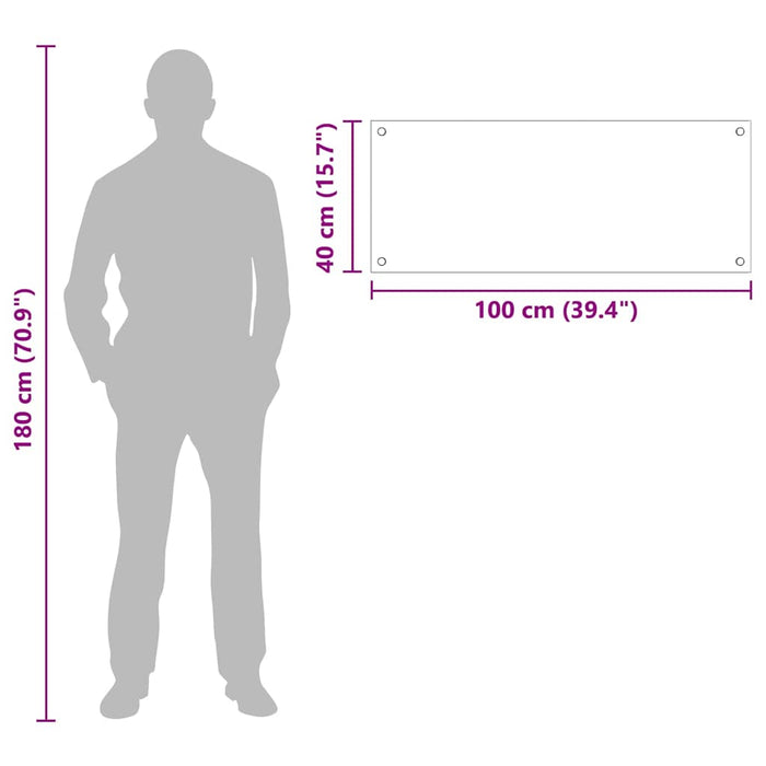 Rivestimento da Cucina Trasparente 100 x 40 x 0.8 cm 42018029
