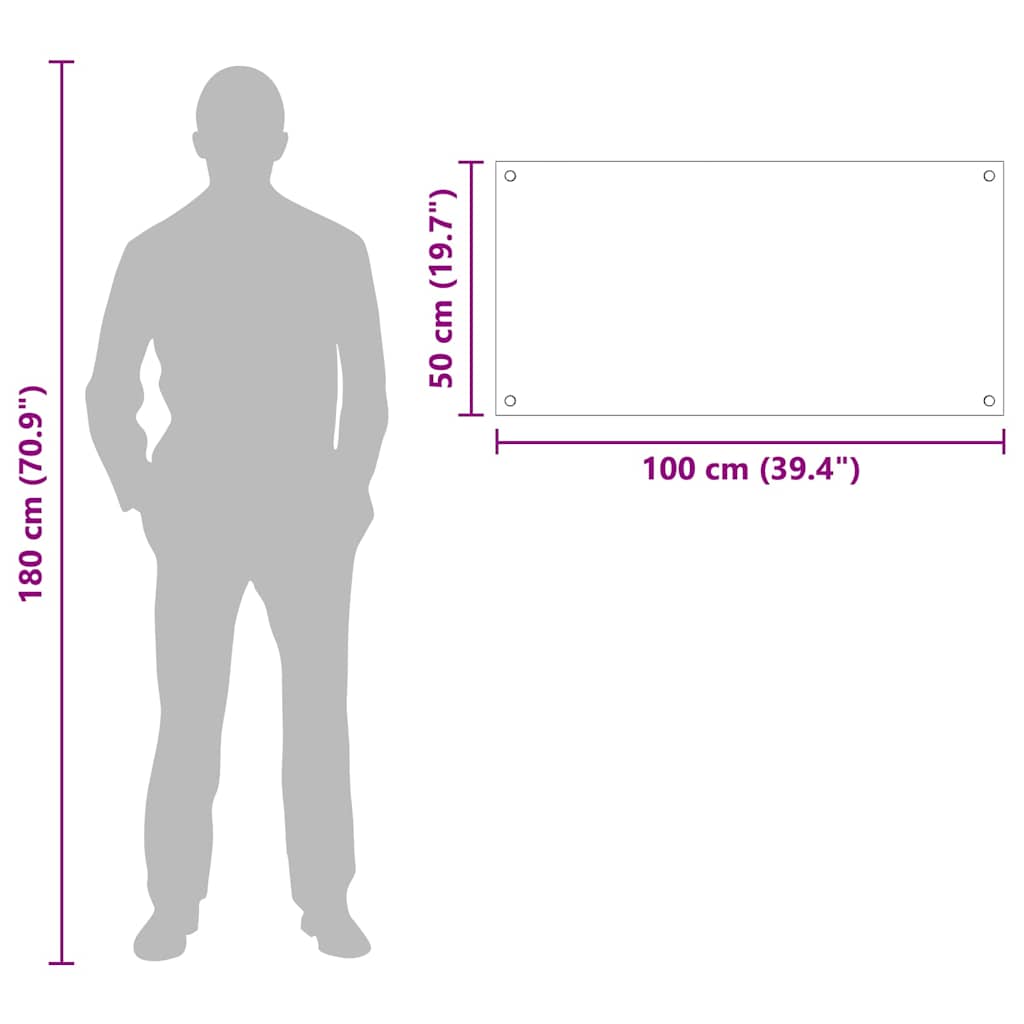 Rivestimento da Cucina Trasparente 100 x 50 x 0.8 cm 42018030