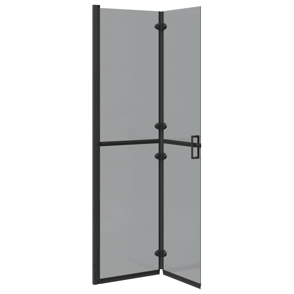 Parete doccia Walk-in Nero e trasparente scuro 100 x 190 cm 42017966