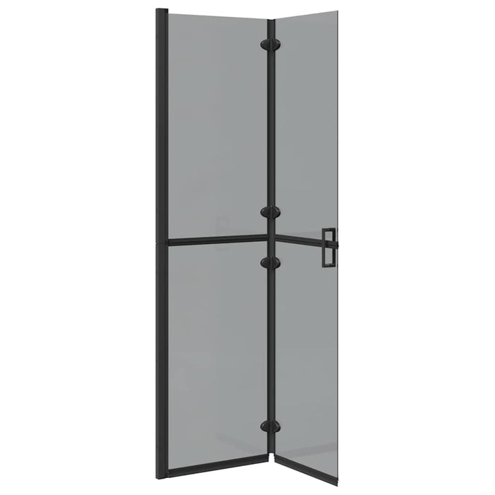 Parete doccia Walk-in Nero e trasparente scuro 100 x 190 cm 42017966