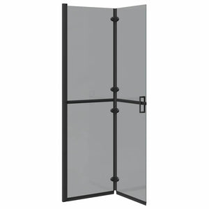 Parete doccia Walk-in Nero e trasparente scuro 110 x 190 cm 42017967