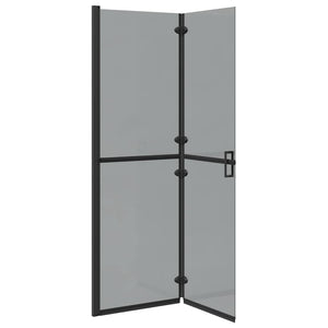 Parete doccia Walk-in Nero e trasparente scuro 120 x 190 cm 42017968