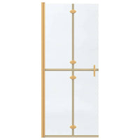 vidaXL Parete doccia Walk-in Altro Oro e trasparente 80 x 190 cm