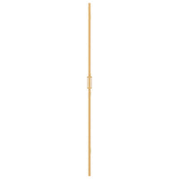 vidaXL Parete doccia Walk-in Altro Oro e trasparente 100 x 190 cm