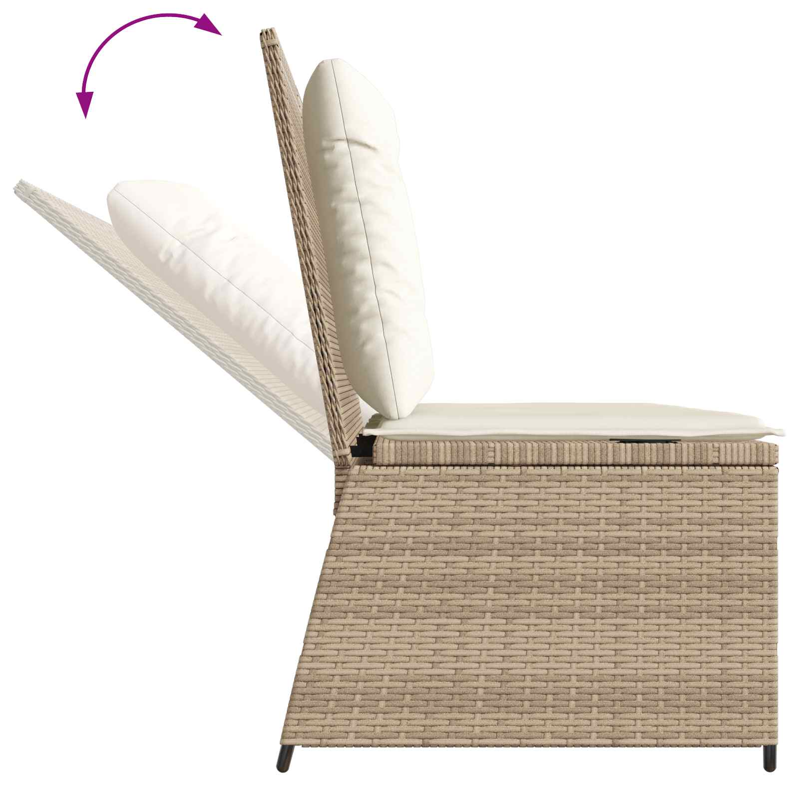 Panchina da giardino con cuscino Beige Poly Rattan 3394471