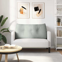 Cuscino per Schiena Grigio chiaro 100 x 24 x 50 cm Velluto 42014458