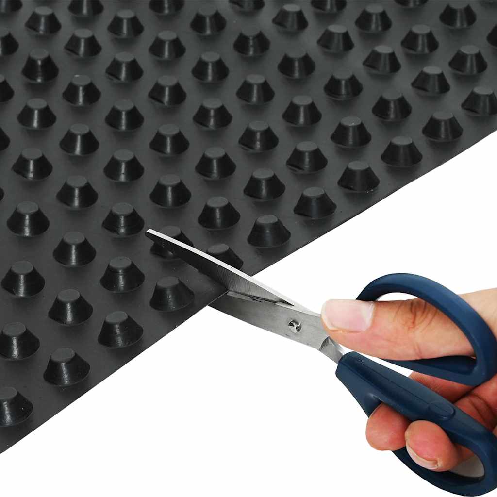 Foglio di drenaggio Nero 0,5 x 10 m HDPE 42019911