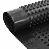 Foglio di drenaggio Nero 1 x 10 m HDPE 42019914