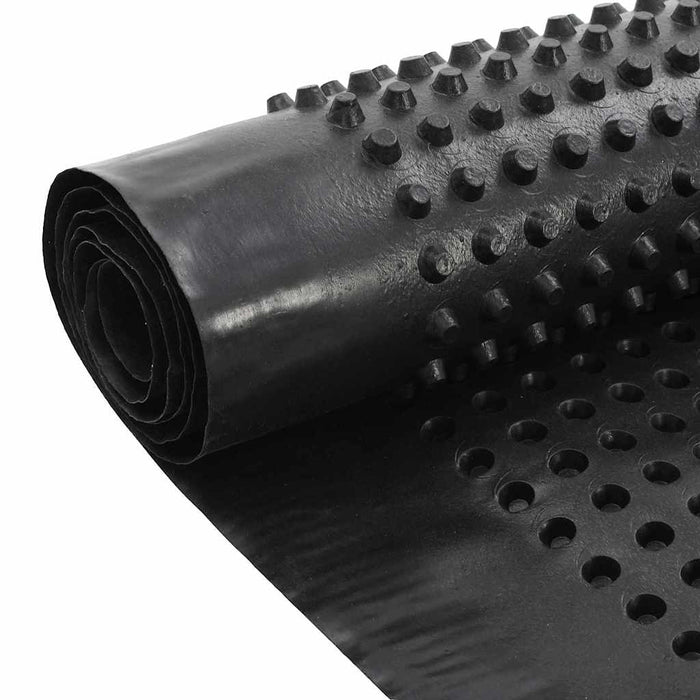 Foglio di drenaggio Nero 1 x 10 m HDPE 42019914