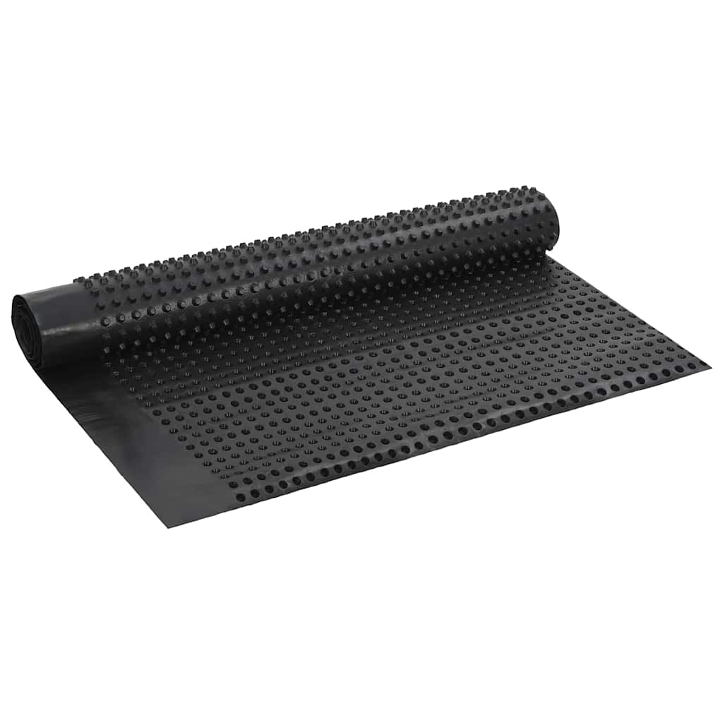 Foglio di drenaggio Nero 1 x 10 m HDPE 42019914