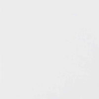 Nastri Adesivi per Pittori 12 pcs Bianco 19mm x 50m Carta 42019652