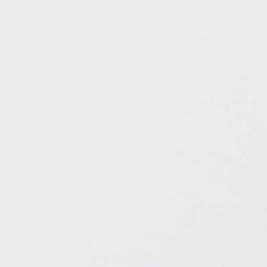 Nastri Adesivi per Pittori 24 pcs Bianco 38mm x 50m Carta 42019665