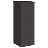 Lucina LED Solare da Percorso 2 pcs Nero 879709