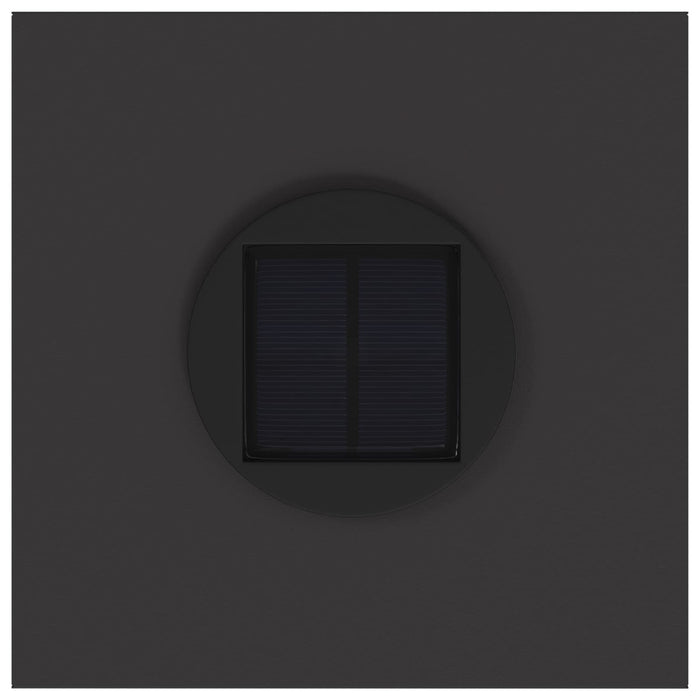 Lucina LED Solare da Percorso 2 pcs Nero 879709