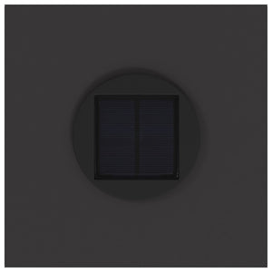 Lucina LED Solare da Percorso 2 pcs Nero 879716