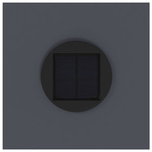 Lucina LED Solare da Percorso 2 pcs Antracite 879718