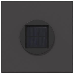 Faro LED solare per sentieri 2 pcs Nero 879751