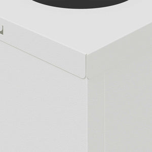 Faro LED solare per sentieri 2 pcs Bianco 879752