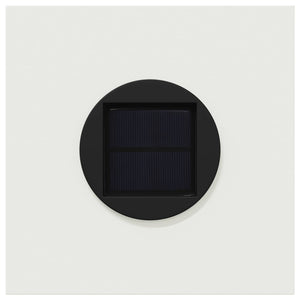 Faro LED solare per sentieri 2 pcs Bianco 879752