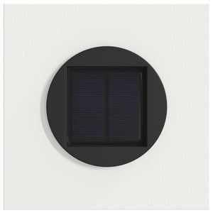 Faro LED solare per sentieri 2 pcs Bianco 879759