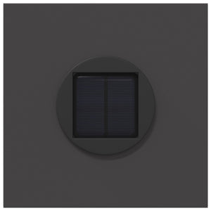 Faro LED solare per sentieri 2 pcs Nero 879793