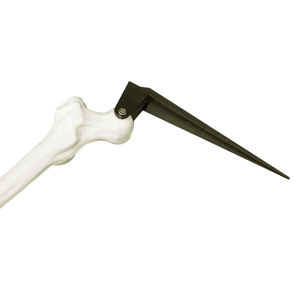 Scheletro di Halloween Bianco 20 x 10 x 9,5 cm Plastica 42020047