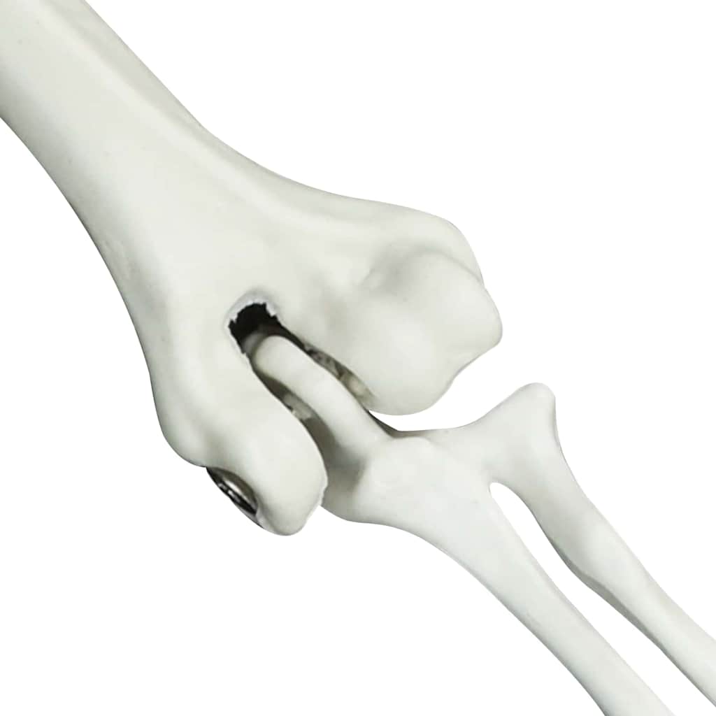 Scheletro di Halloween Bianco 20 x 10 x 9,5 cm Plastica 42020047