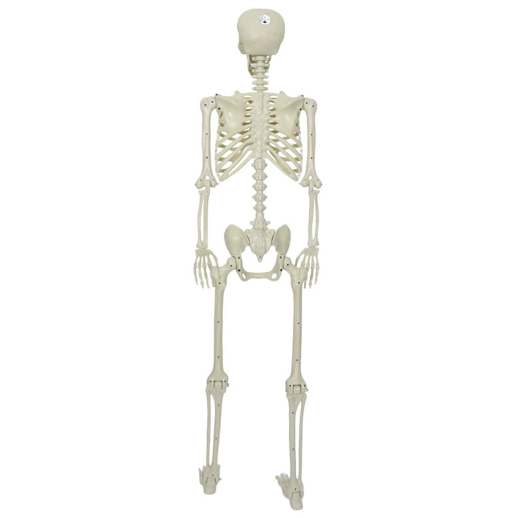 Scheletro di Halloween Bianco 155 x 38.5 cm Plastica 42020048