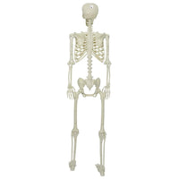 Scheletro di Halloween Bianco 155 x 38.5 cm Plastica 42020048