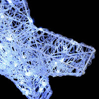 Stella 3D con 50 LED Bianco freddo 55 x 53.5 x 10 cm Acrilico 42019099