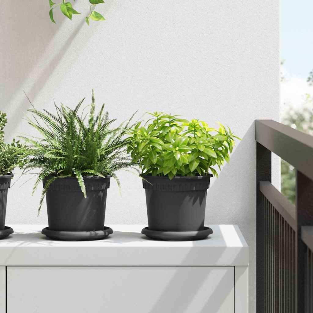 Vassoio Rotondo per Fiori 24 pcs Nero Ø 14 x 2 cm Plastica 42020320