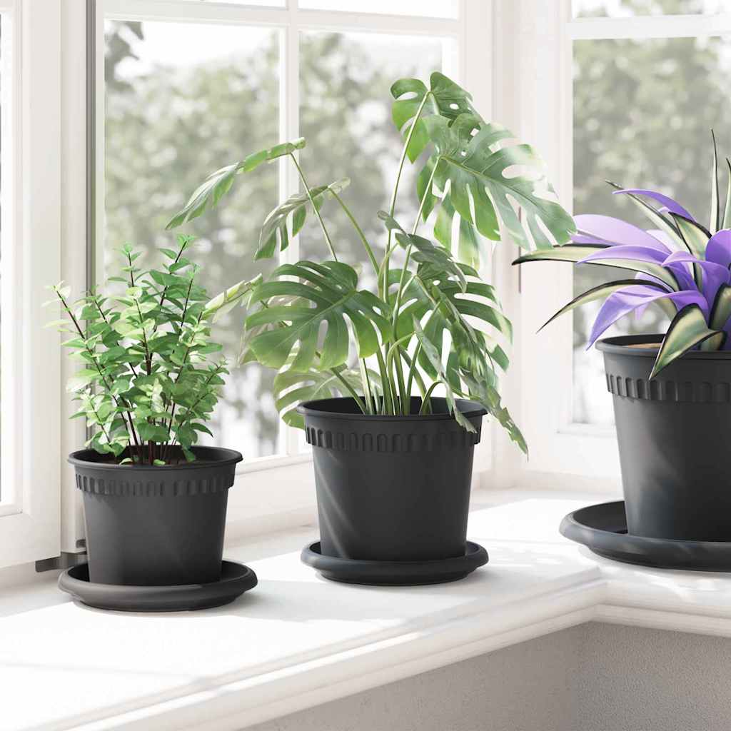Vassoio Rotondo per Fiori 24 pcs Nero Ø 14 x 2 cm Plastica 42020320
