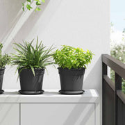 Vassoio Rotondo per Fiori 24 pcs Nero Ø 14 x 2 cm Plastica 42020321